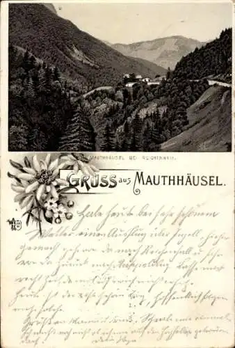 Litho Schneizlreuth in Oberbayern, Gasthof Mauthäusl bei Bad Reichenhall, Panorama, Edelweiß