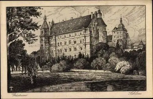 Künstler Ak Güstrow in Mecklenburg, Schloss