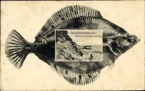 Passepartout Ak Ostseebad Kölpinsee auf Usedom, Strand mit Streckelberg, Flunder