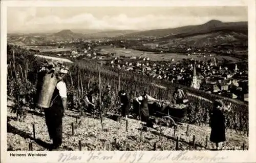 Ak Ahrweiler an der Ahr, Heinens Weinlese, Weinbau Joh. H. Heinen