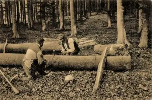 Ak Watermael Boitsfort Bruxelles Brüssel, Foret de Soignes, Forstarbeiter