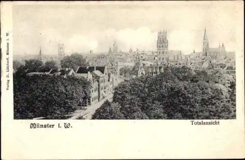 Ak Münster in Westfalen, Gesamtansicht
