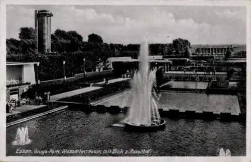 Ak Essen im Ruhrgebiet, Gruga-Park, Wasserterrassen, Rosenhof