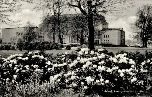 Ak Essen im Ruhrgebiet, Stadtgarten, Saalbau