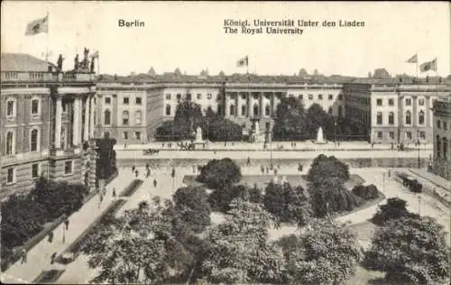 Ak Berlin Mitte, Königliche Universität, Unter den Linden