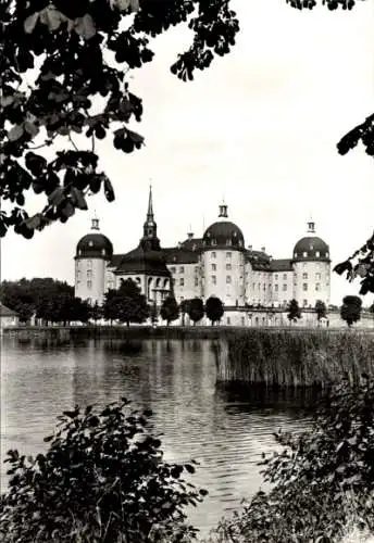 Ak Moritzburg in Sachsen, Museum, Schloss