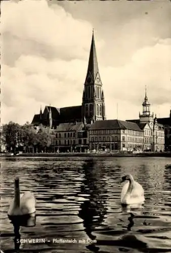 Ak Schwerin in Mecklenburg, Pfaffenteich mit Dom, Schwäne