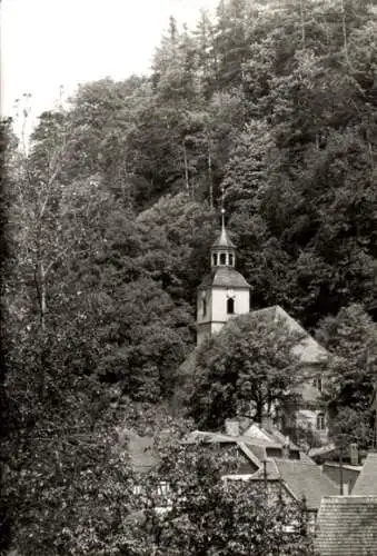 Ak Oybin in der Oberlausitz, Kirche, Wald