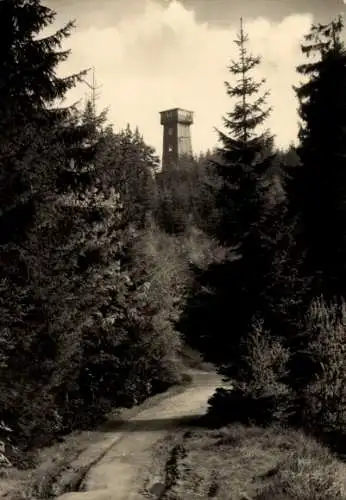 Ak Schönberg Rosenbach im Vogtland, Kapellenbergturm, Wald