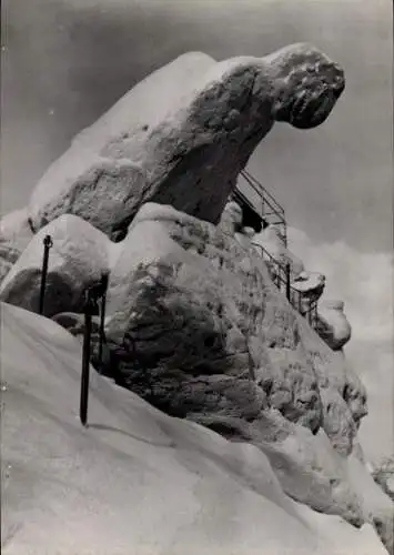 Ak Oybin in der Oberlausitz, Töpfer, Papagei, Winter