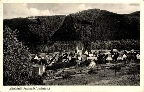 Ak Freienohl Meschede im Sauerland, Gesamtansicht