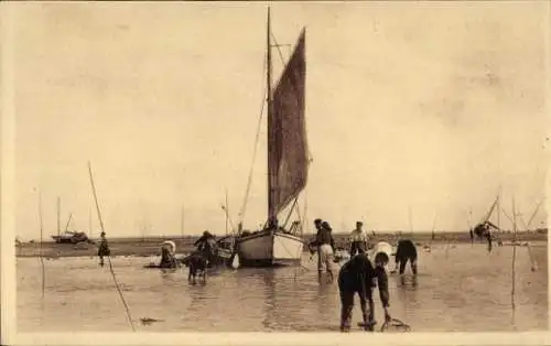 Ak Ronce les Bains Charente Maritime, Le Tremblade, Peche des Huitres