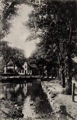 Ak Nieblum auf der Insel Föhr Nordfriesland, Dorfmotiv, Altföhr