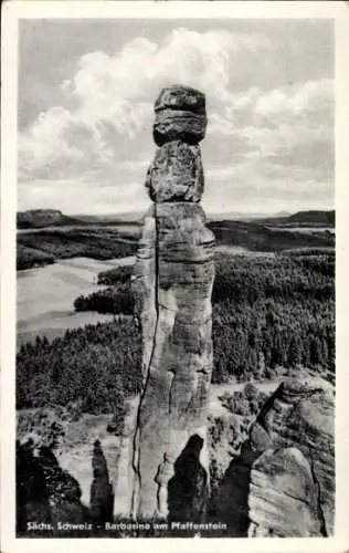 Ak Pfaffendorf Königstein an der Elbe Sächsische Schweiz, Barbarine, Pfaffenstein