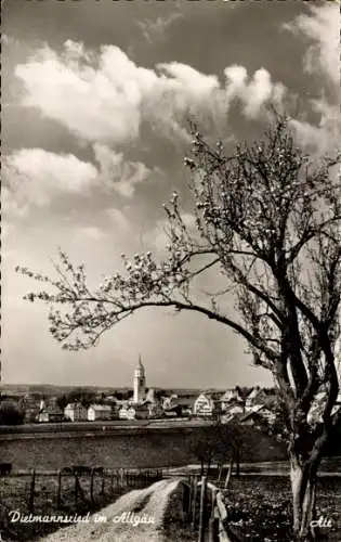 Ak Dietmannsried im Oberallgäu, Panorama