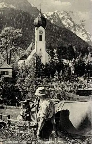 Ak Grainau in Oberbayern, Mann, Rind, Turm, Zugspitze