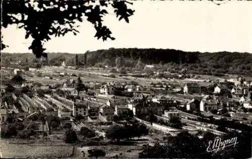 Ak Thomery Seine et Marne, les Murs a Raisin de By