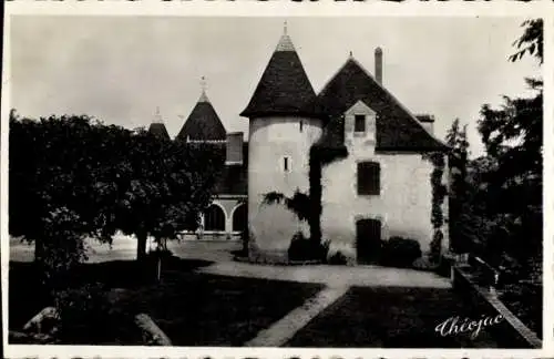 Ak Bonnat Creuse, Chateau Beauvais, Les Lions