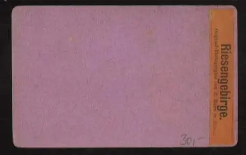 CdV Foto Jelenia Góra Hirschberg Woiwodschaft Niederschlesien Polen, Panorama