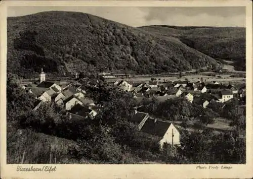 Ak Birresborn in der Eifel, Ortsansicht