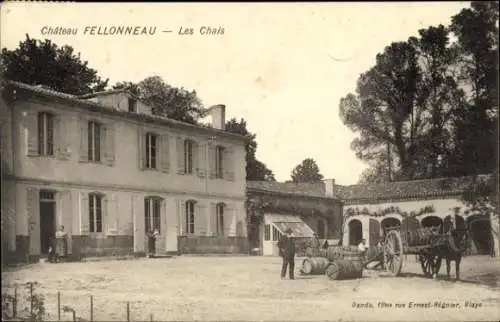 Ak Macao Gironde, Chateau Fellonneau, Chais