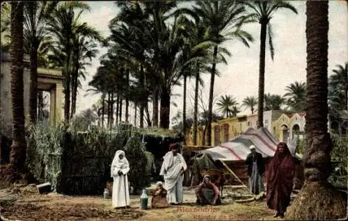 Ak Alexandria Ägypten, Gabbari Palm, Palmenhaus, Zelt