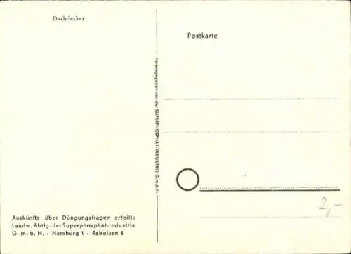 Künstler Ak Dachdecker, Dachschaben, Stroh, Zimmermann