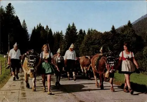 Ak Almabtrieb in Allgäu, Bayerische Tracht, Rinder