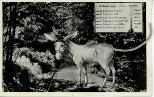 Mechanische Ak Esel mit Stoff-Schwanz, Esel-Barometer