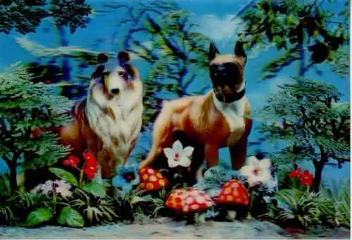 3-D Ak Hunde, Bulldogge, Collie, Blumen, Pilze