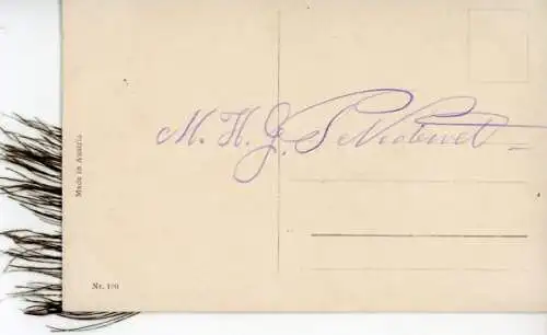 Stoff Ak Pfau mit buntem Schwanz, Feder