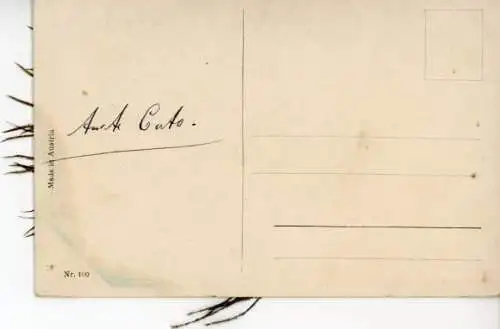 Stoff Ak Pfau mit buntem Schwanz, Feder