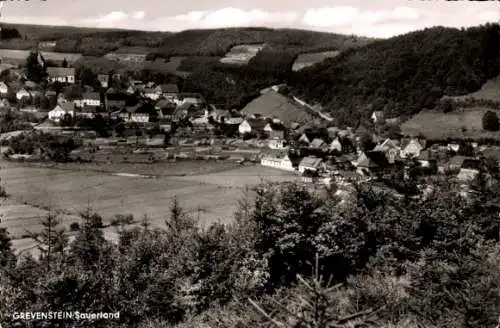 Ak Grevenstein Meschede im Sauerland, Panorama