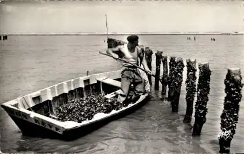 Ak Châtelaillon Charente Maritime, Pecheur de Moules aux Bouchots