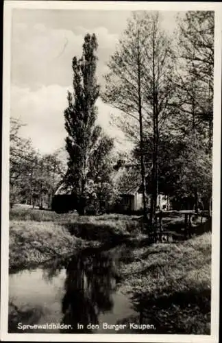 Ak Burg im Spreewald, in den Burger Kaupen, Wasserpartie