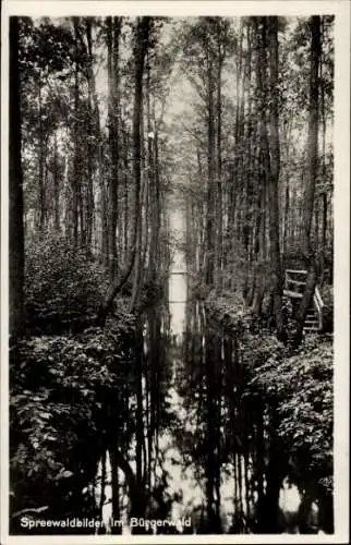 Ak Spreewald, Bürgerwald