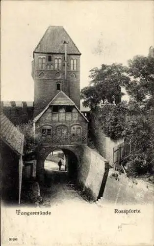 Ak Tangermünde an der Elbe, Rosspforte