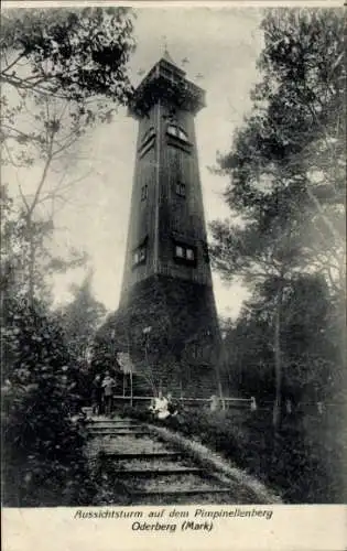 Ak Oderberg in der Mark, Pimpinellenberg, Aussichtsturm