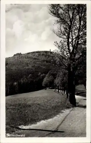 Ak Oybin in der Oberlausitz, Zittauer Gebirge, Hochwald, Hvozd