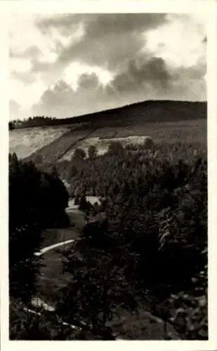 Ak Oberhof im Thüringer Wald, Panorama, Blick zum Grund