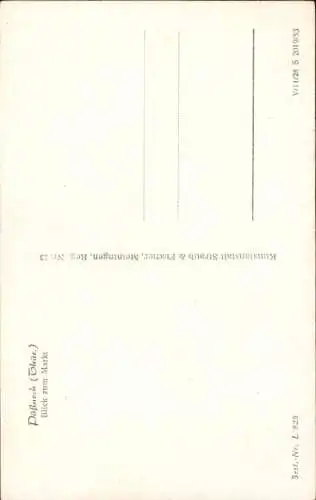 Ak Pößneck in Thüringen, Markt