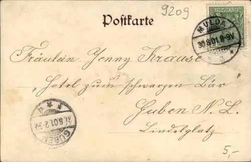 Ak Mulda im Erzgebirge, Gesamtansicht