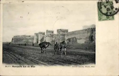 Ak Sfax Tunesien, Festung, Kamele