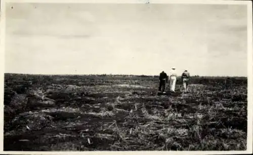 Foto Vietnam, drei Männer auf dem Feld