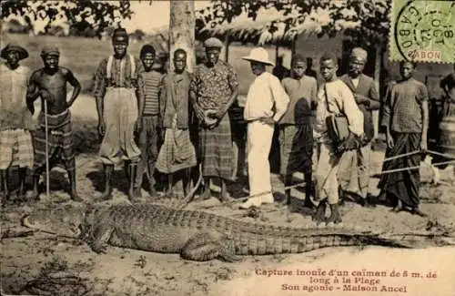 Ak Africa, Unglaublicher Fang eines langen Kaimans am Strand