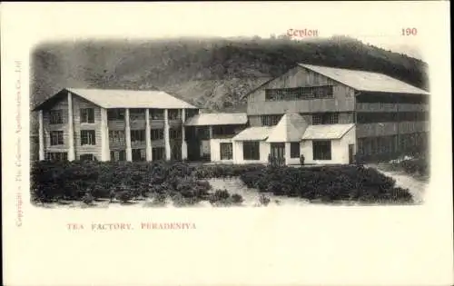 Ak Peradeniya Ceylon, Tee Fabrik