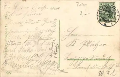 Ak Grimma in Sachsen, Stadtansicht