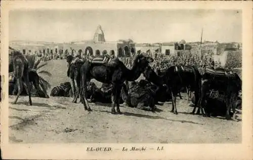 Ak El Oued Algerien, Der Markt, Kamele