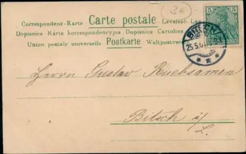 Glitzer Litho Glückwunsch Pfingsten, Mädchen, Birke, Maikäfer