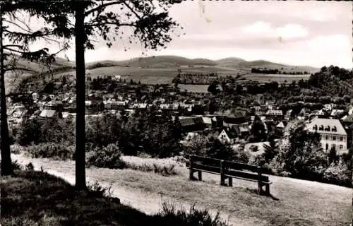 Ak Meschede im Sauerland, Panorama